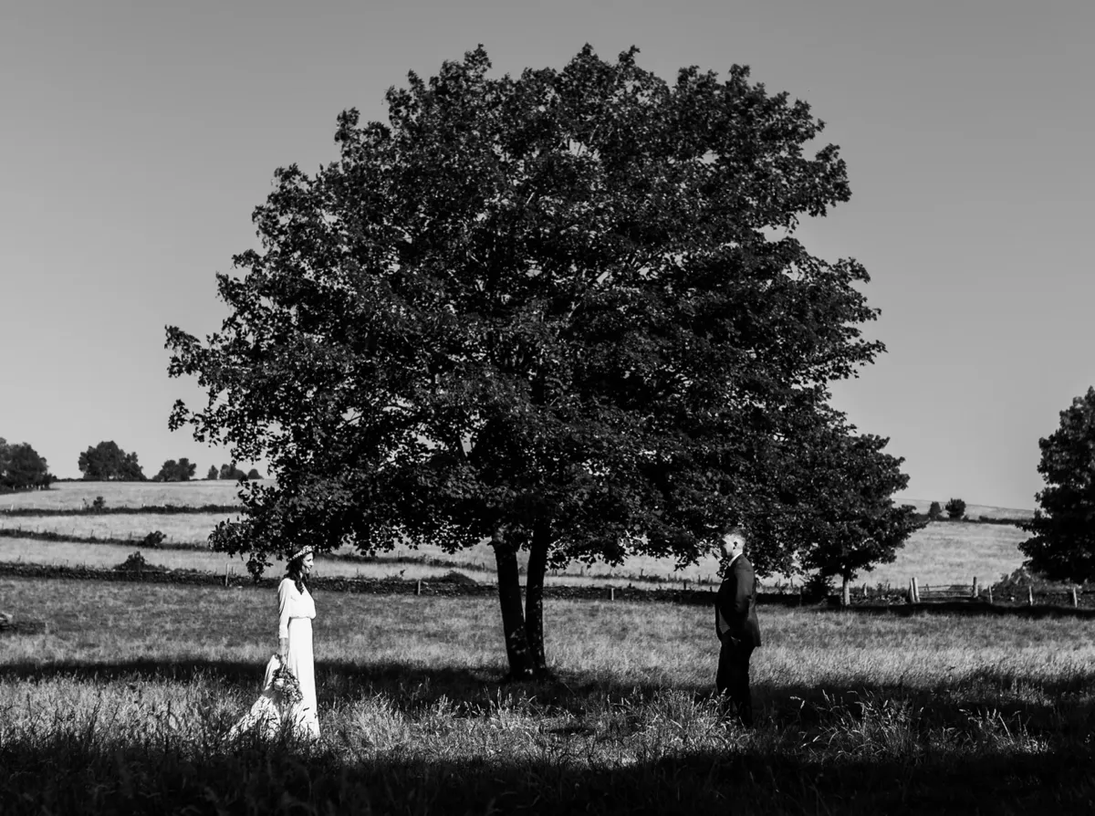 Novio y novia bajo un árbol